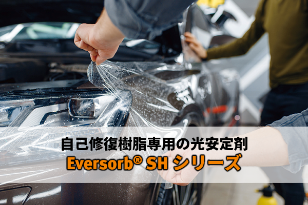 ニュースリリース Everlight Chemical